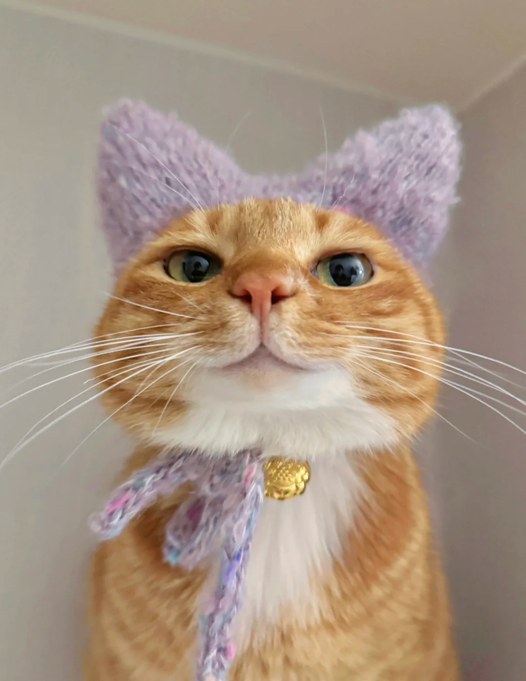 How Much Playtime Does My Cat Need